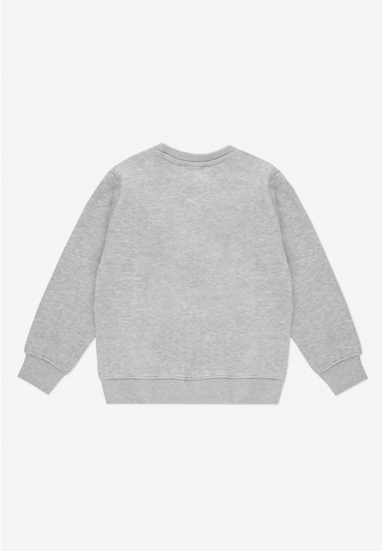 KD252KSWE1031_crewneck_idol_gray_2