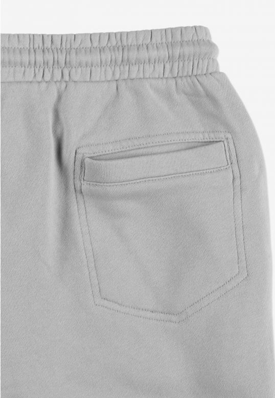 KL252MPAN4071_sweatpants_biglog_washedgray_4
