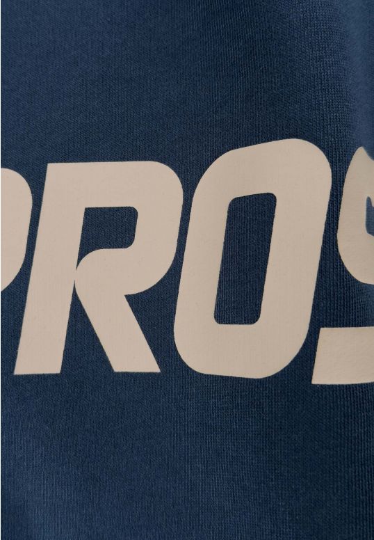 KL261MSWE2011_hoodie_biglog_navy_3