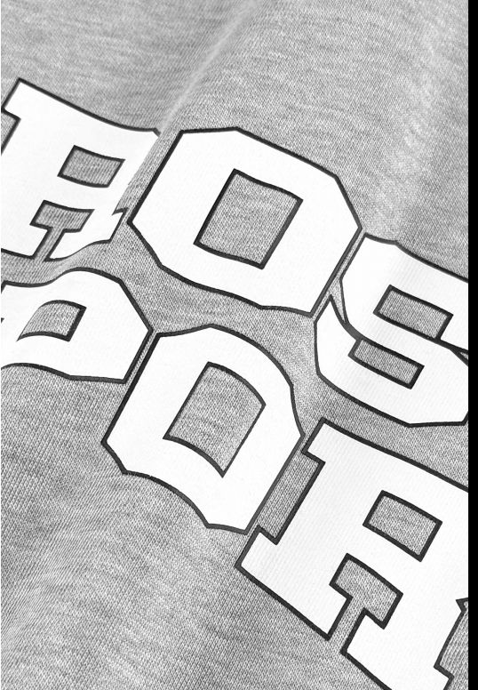 KL261MSWE2111_hoodie_harvard_gray_3