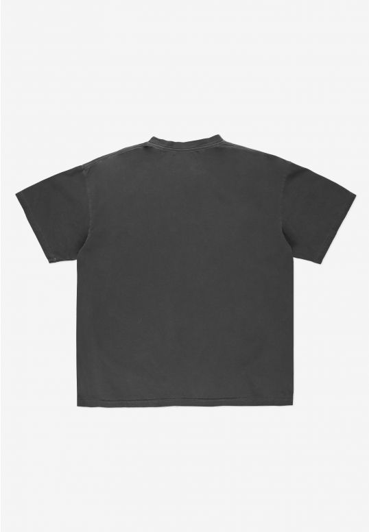 PR251MTEE3012_polo_ST_graphite_2