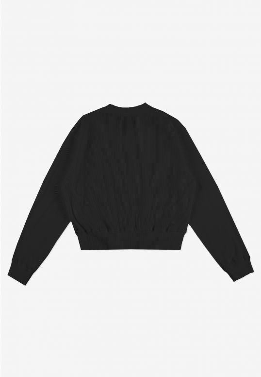PR254FSWE1011_crewneck_ribbed_black_2
