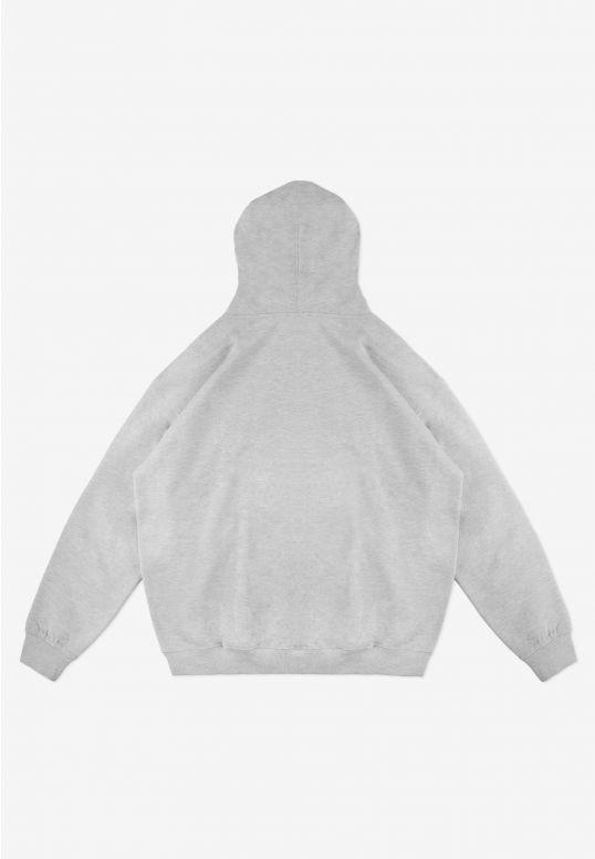 kl252mswe2011_hoodie_biolog_gray_2