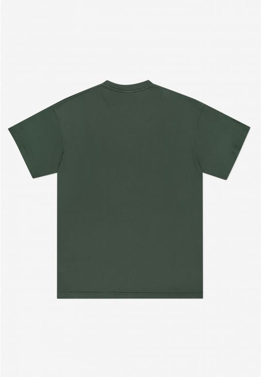 zkl251mtee1133_ts_box20_green_2